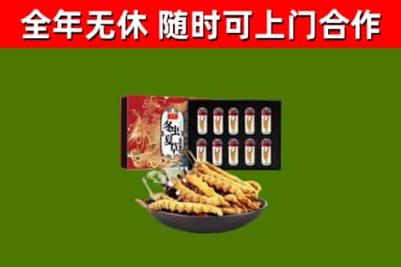 潍坊市回收冬虫夏草价格